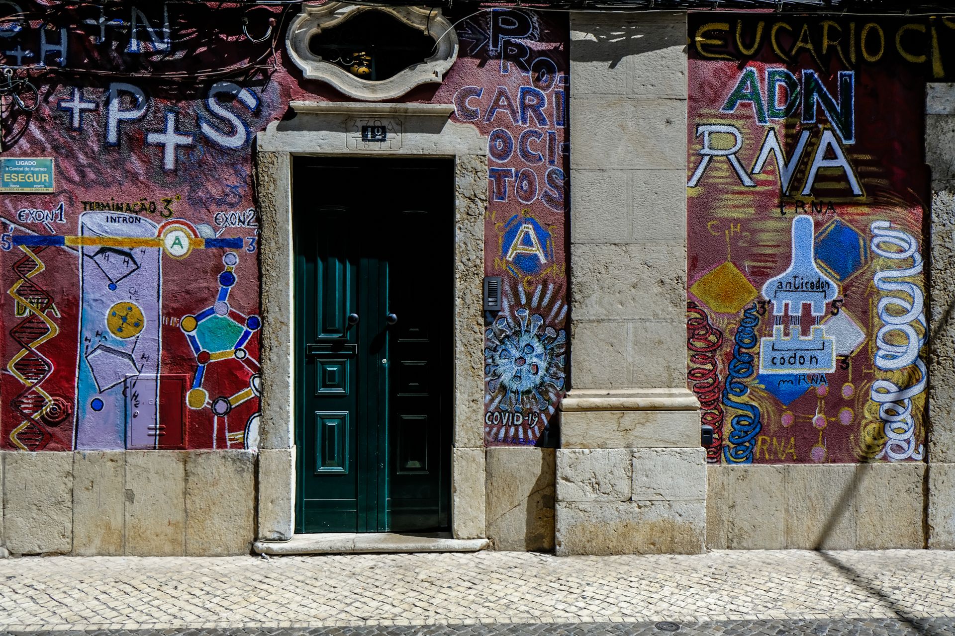 7-Street Art - Faro -1©Paulo Abrantes.jpg