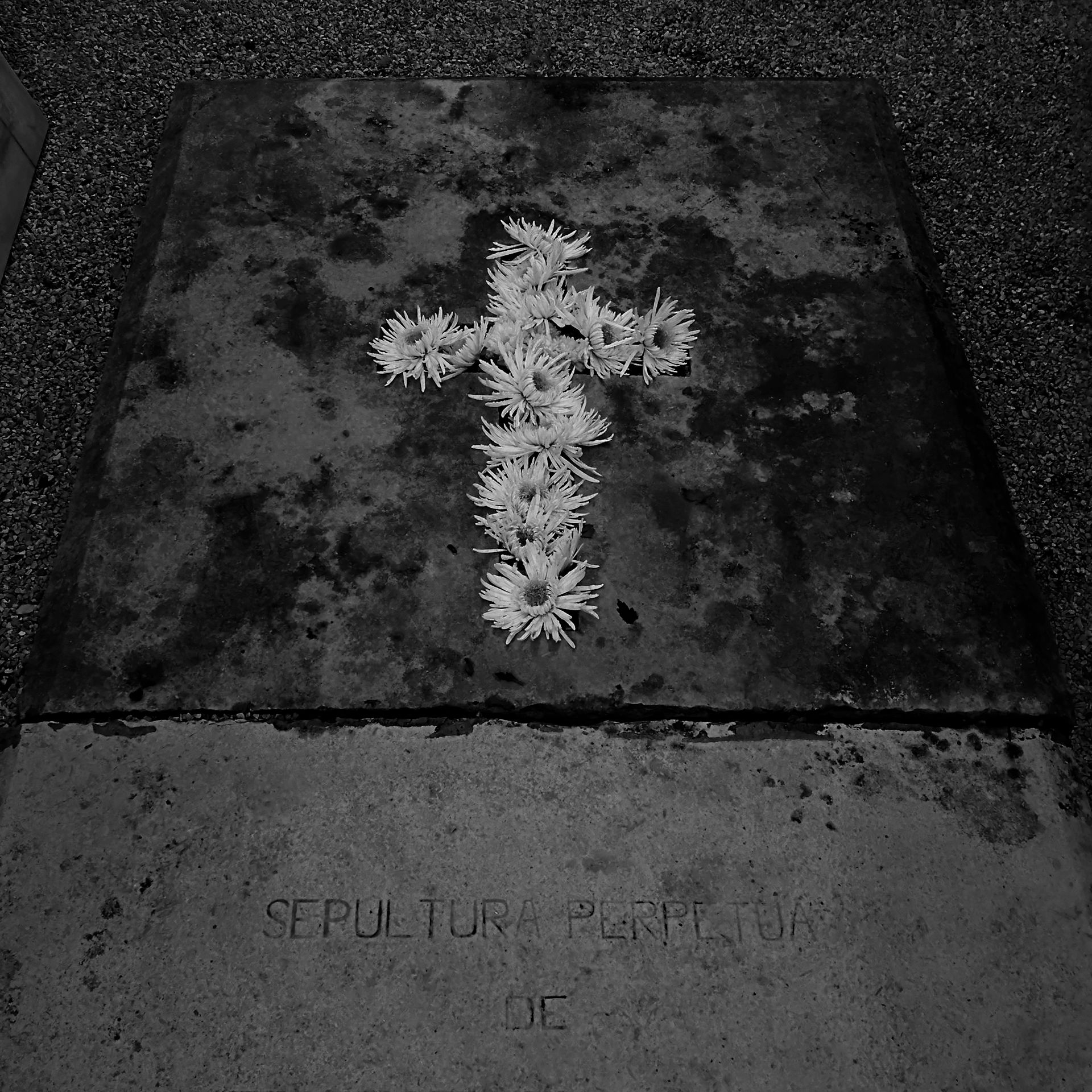 10-Cemetery route©Paulo Abrantes.jpg