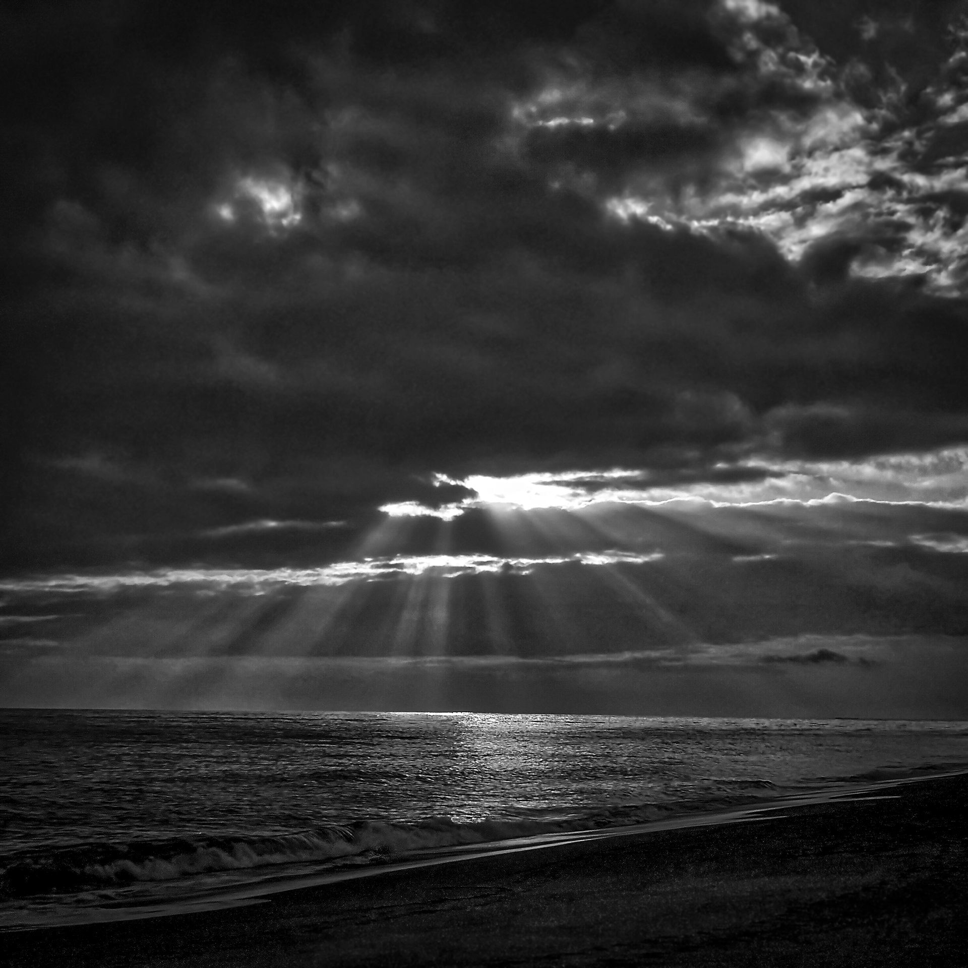 13-Heading South©Paulo Abrantes-15.jpg