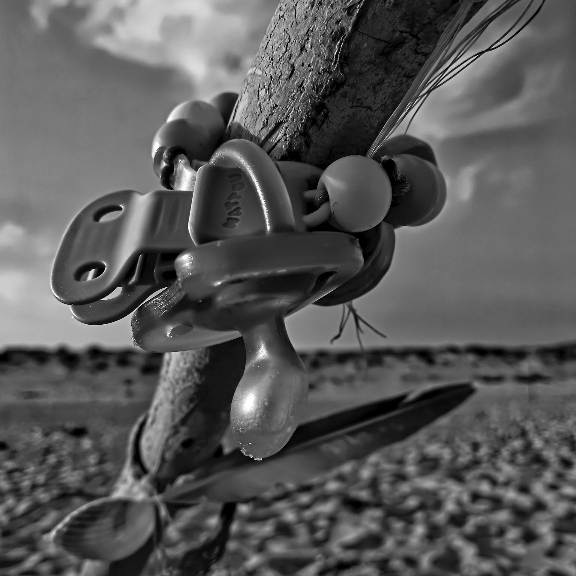 5-Heading South©Paulo Abrantes-3.jpg