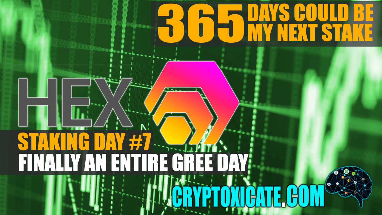 HEX_STAKING_DAY7_Banner_Cryptoxicate_com.png