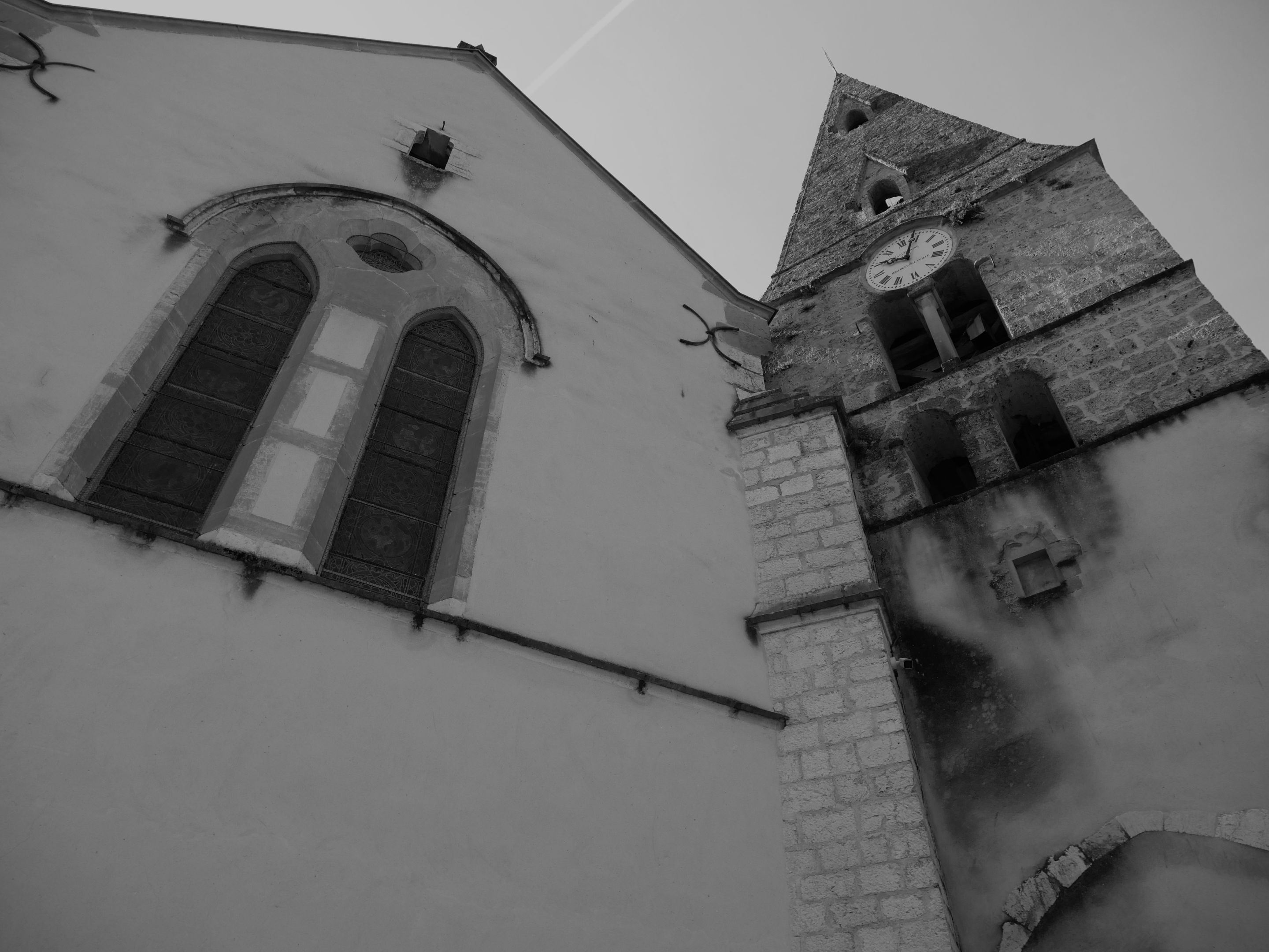 P1001350.JPG
