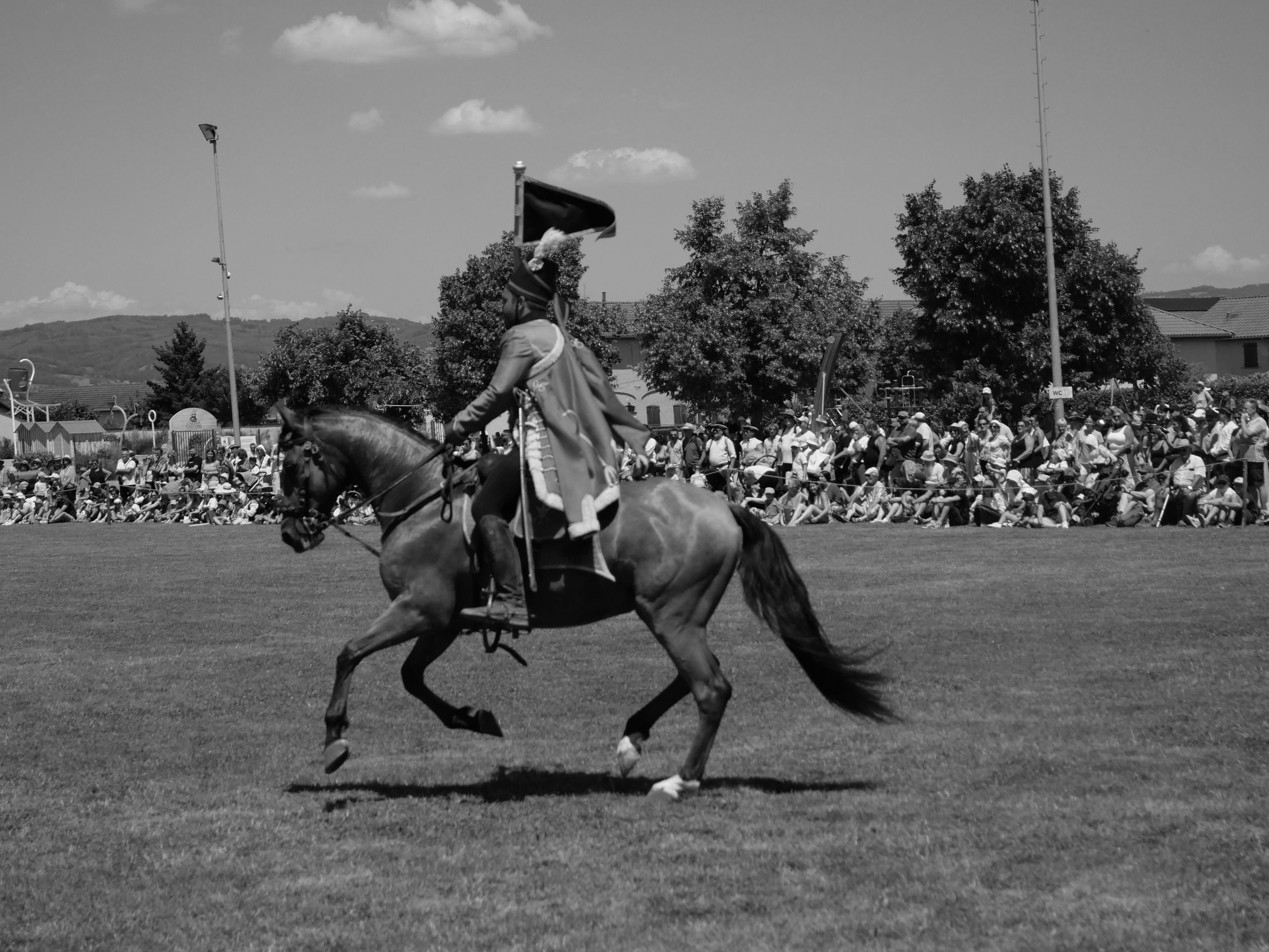 cavaliernb (4).JPG