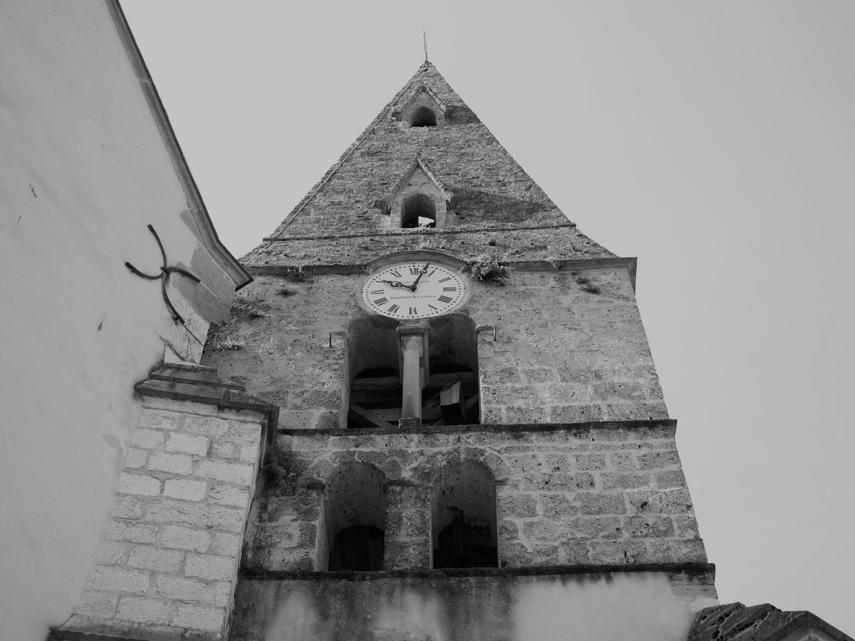 P1001348.JPG