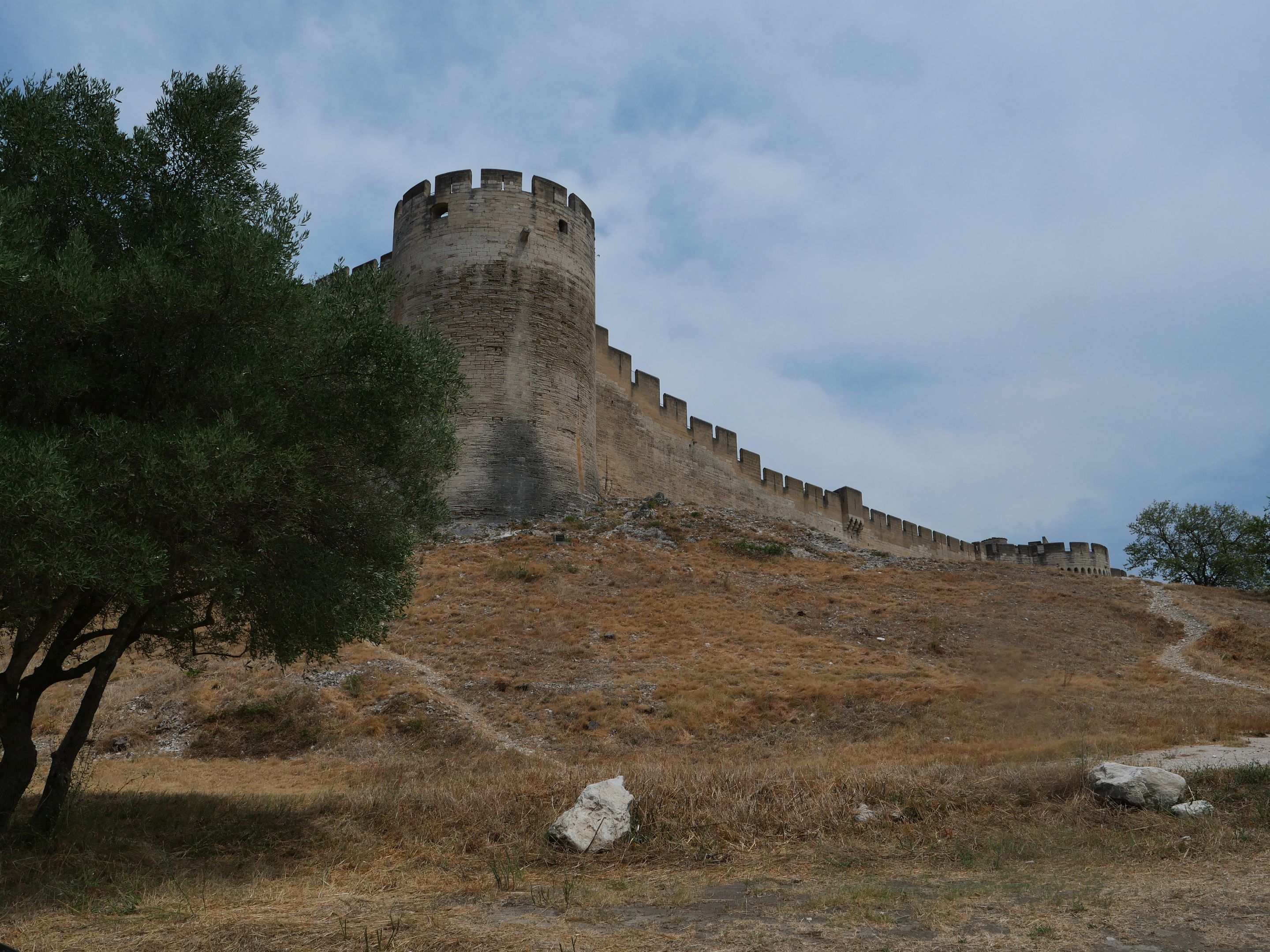 avignonfortsaintandré (3).JPG