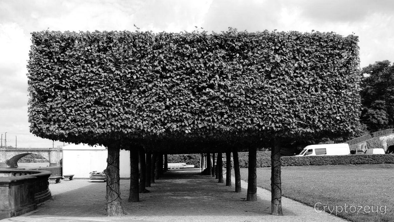 German tree