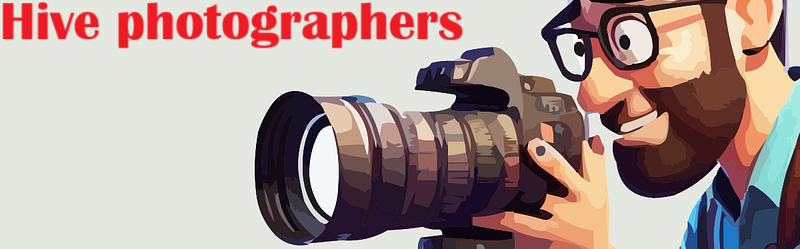 banner_hive_photographers.png