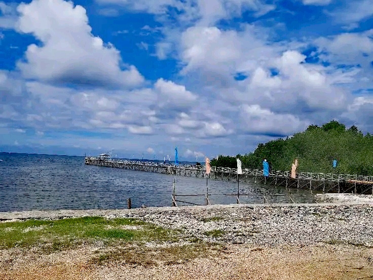 IMG_20250313_154111.jpg