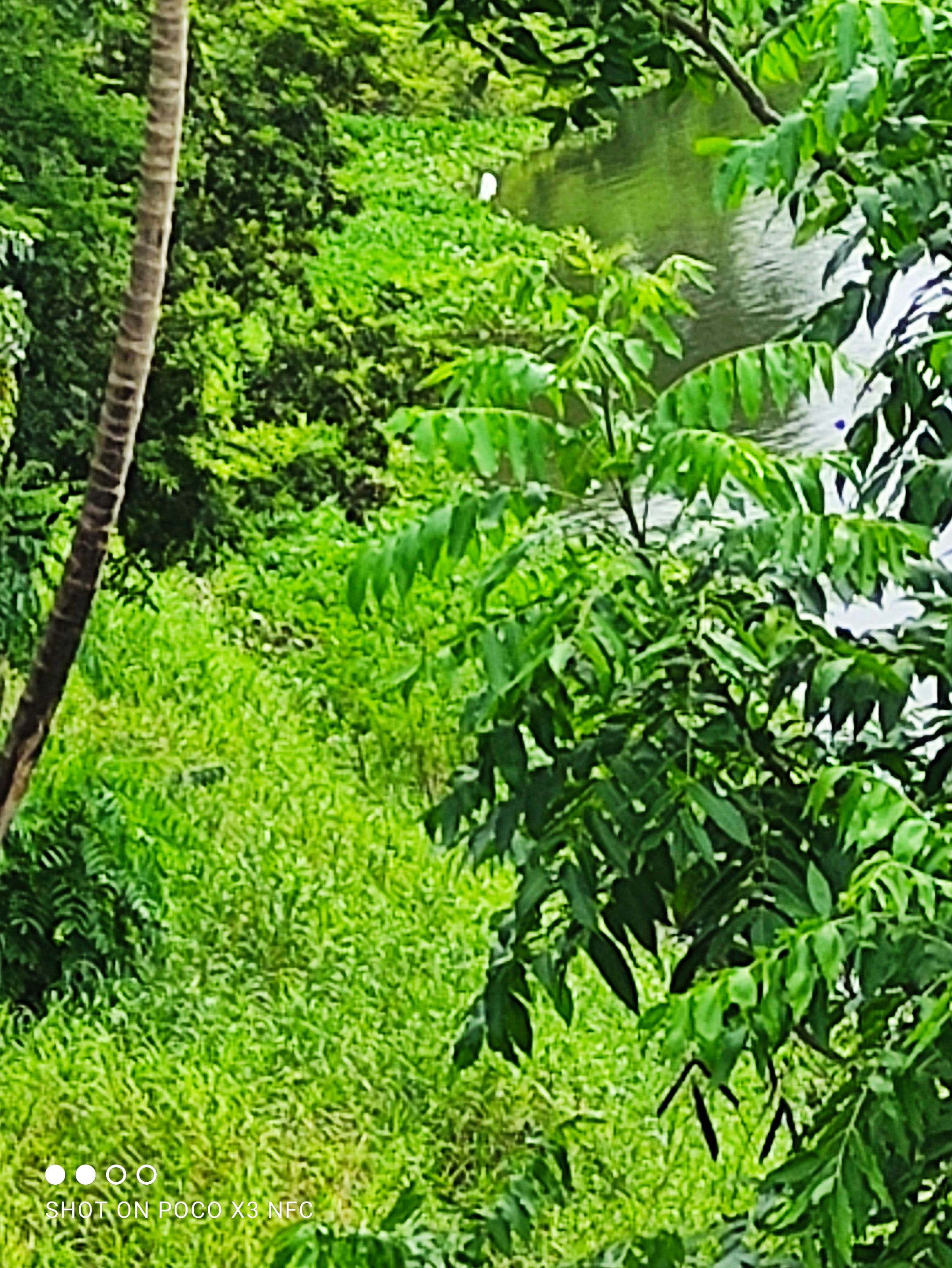 IMG_20220514_160342.jpg