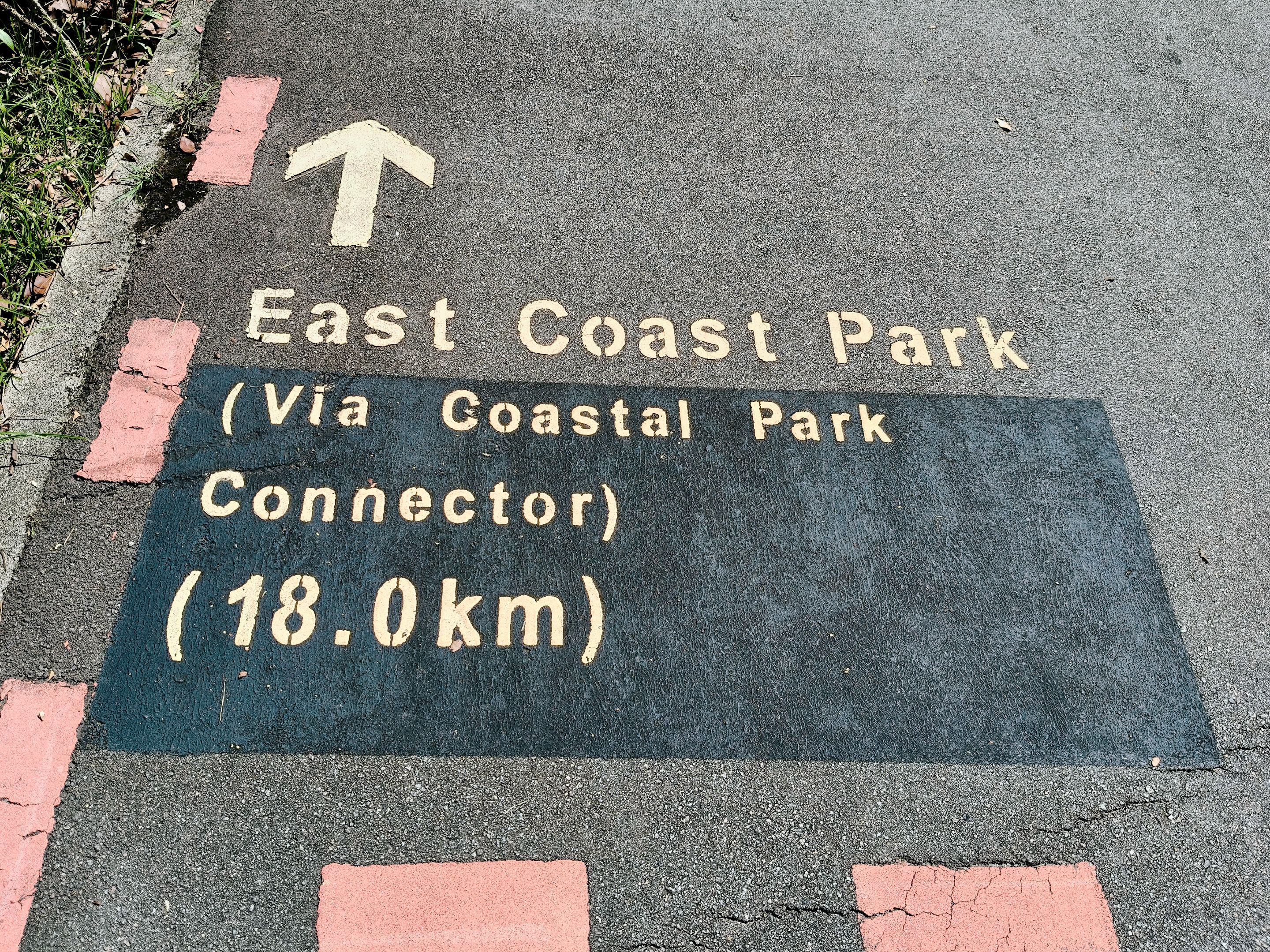 1000028008.jpg