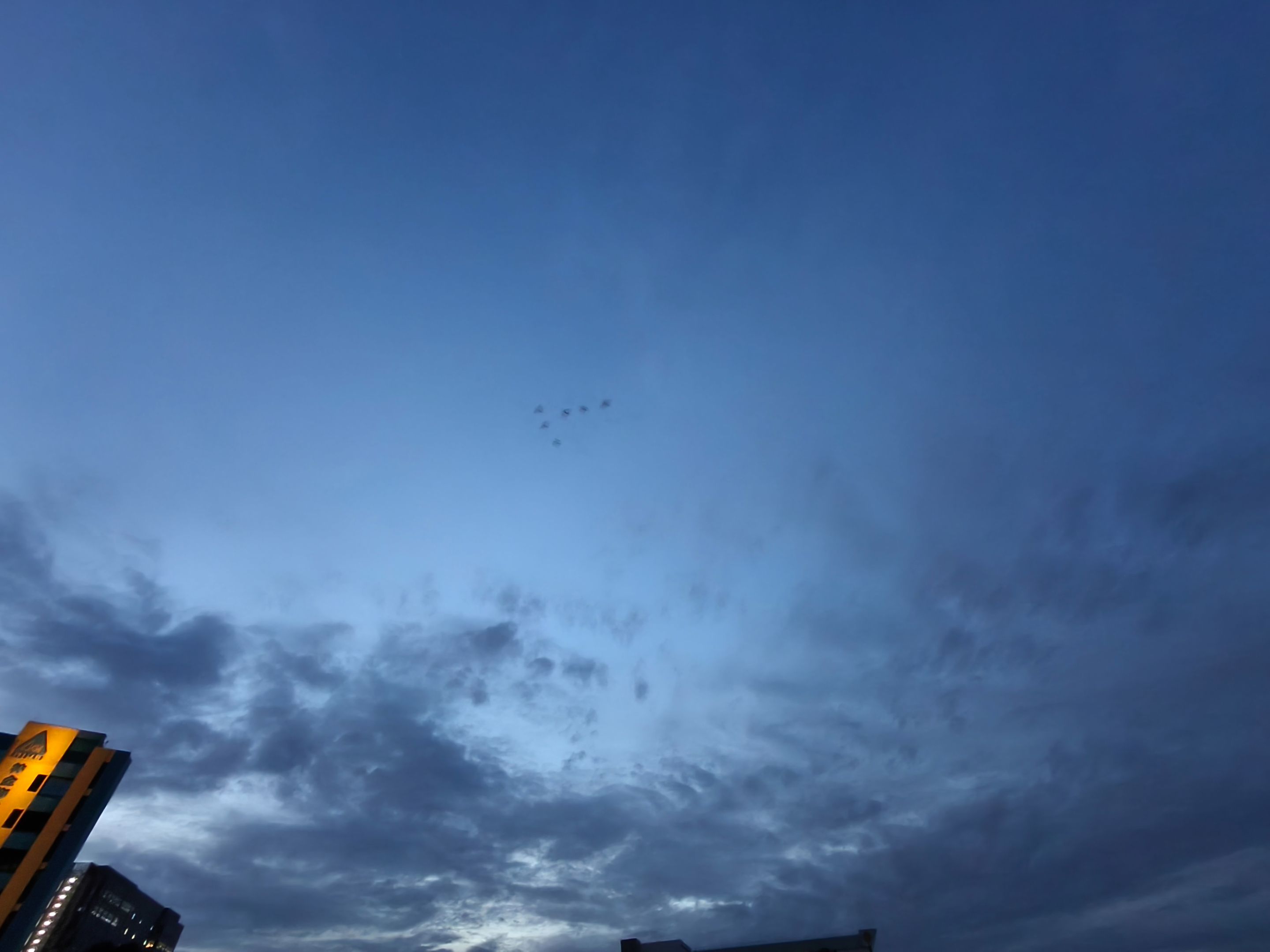 1000054907.jpg