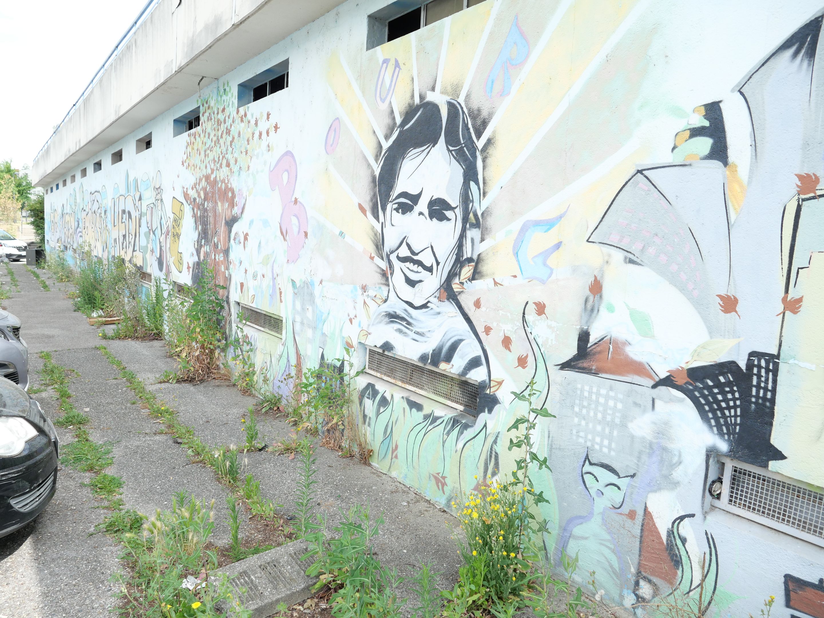 P1001450.JPG