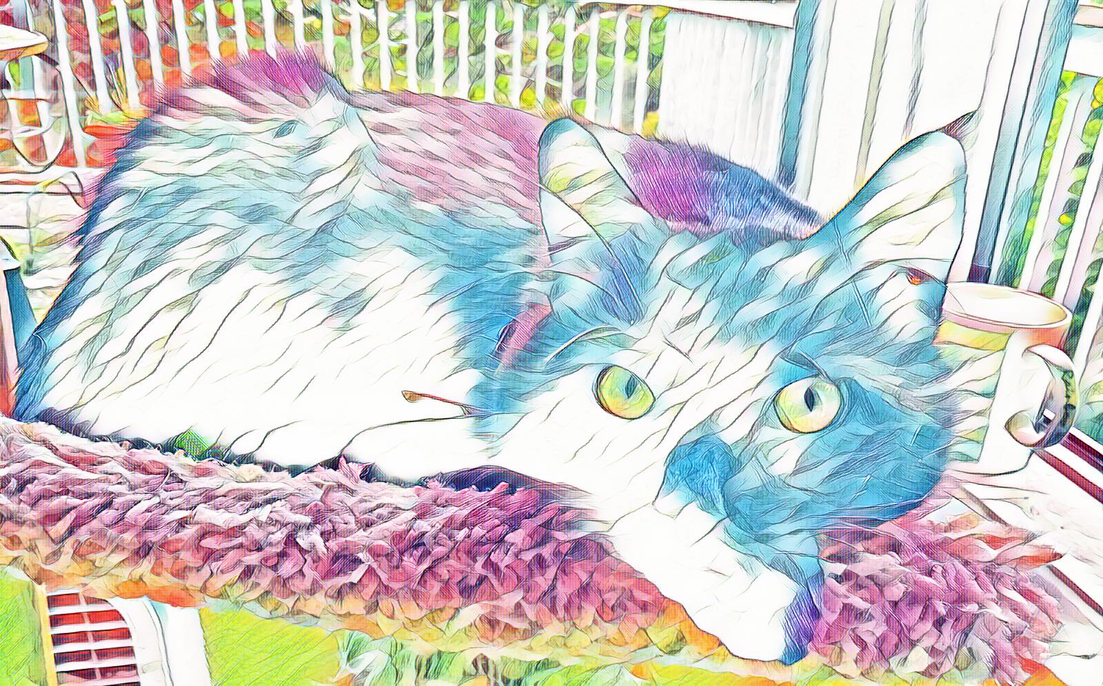 CCC-21-007-Pastels.jpg