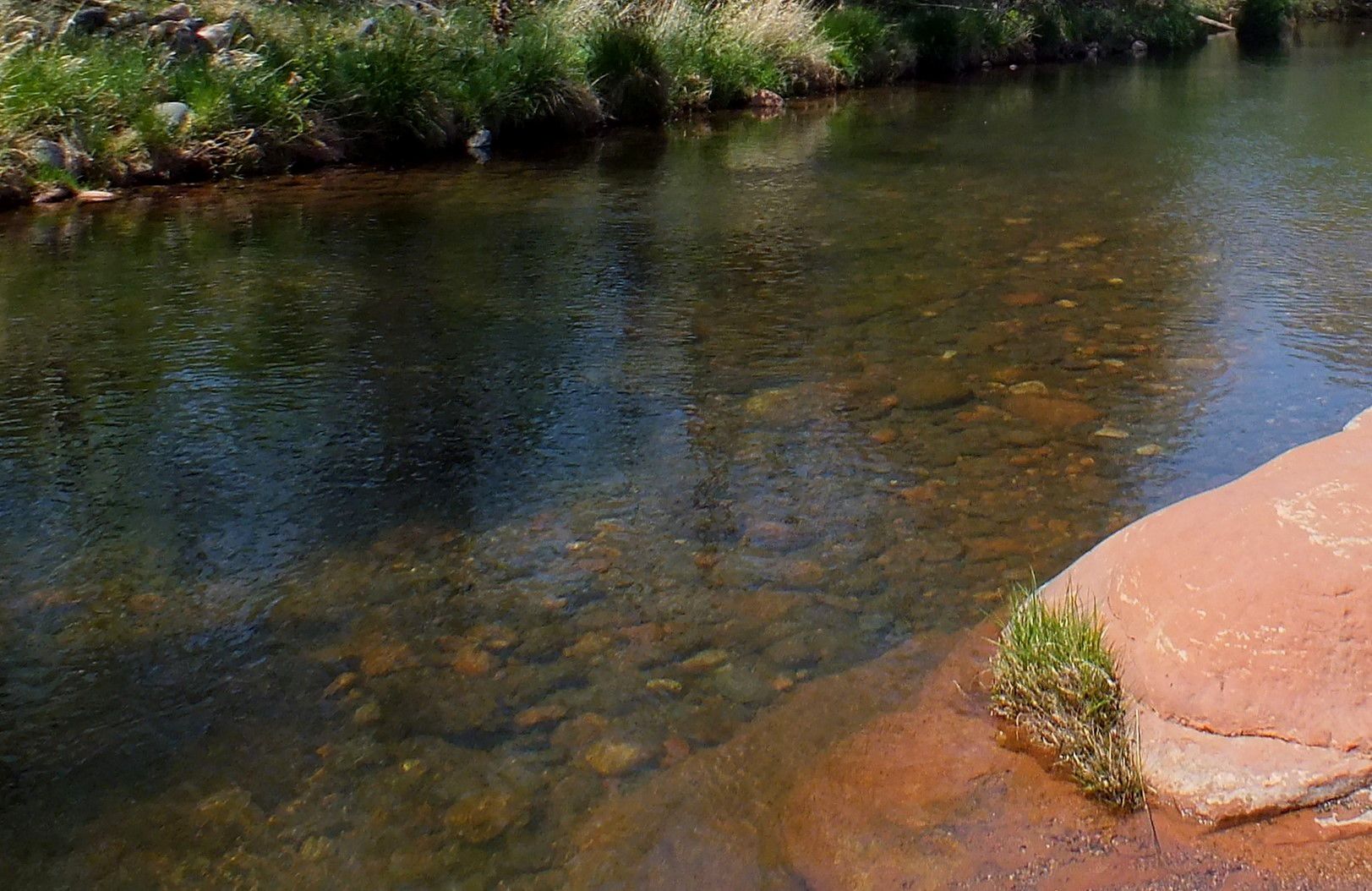 CC-L-0052-Creekside.JPG