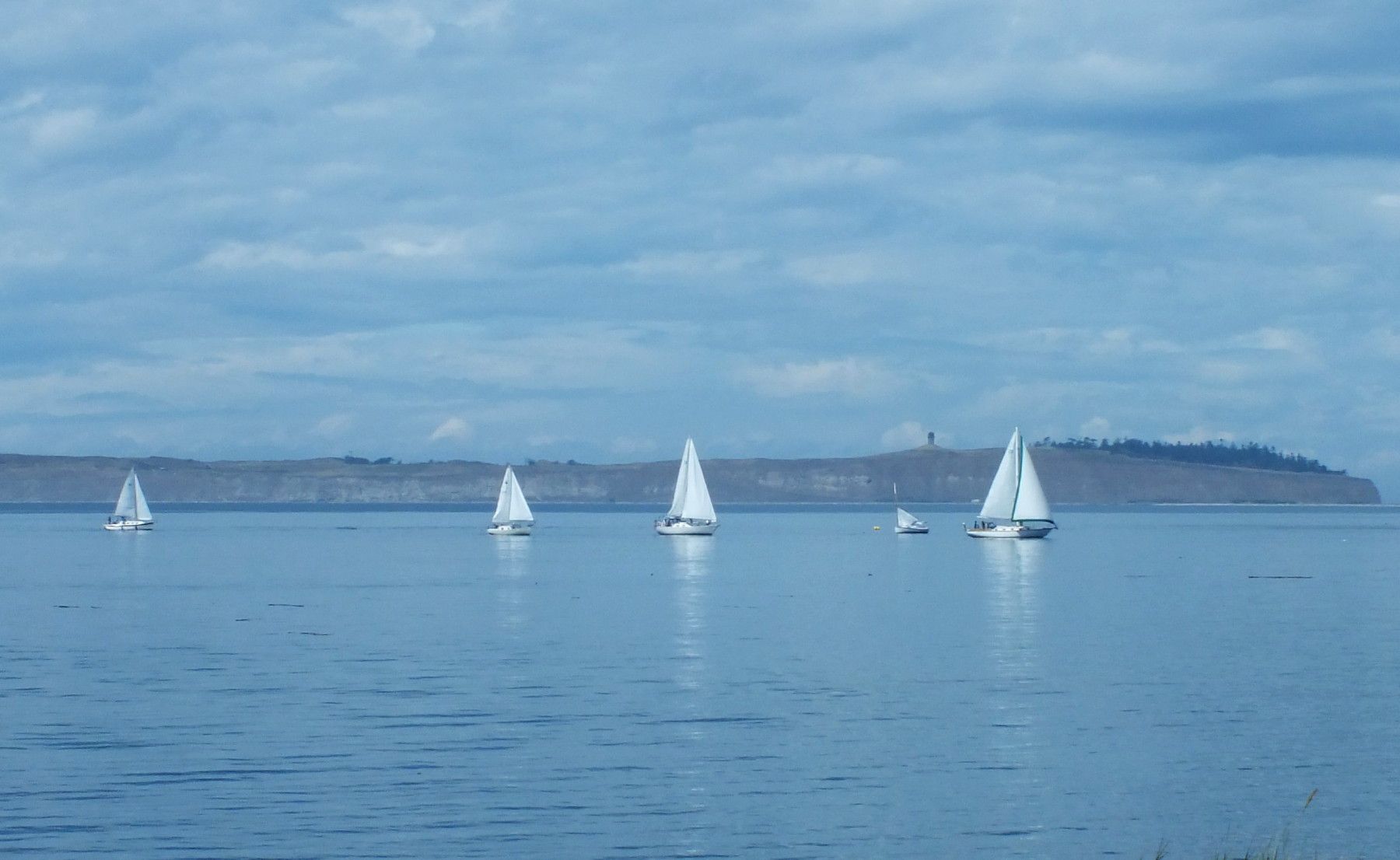 CCP-181-Boats.JPG