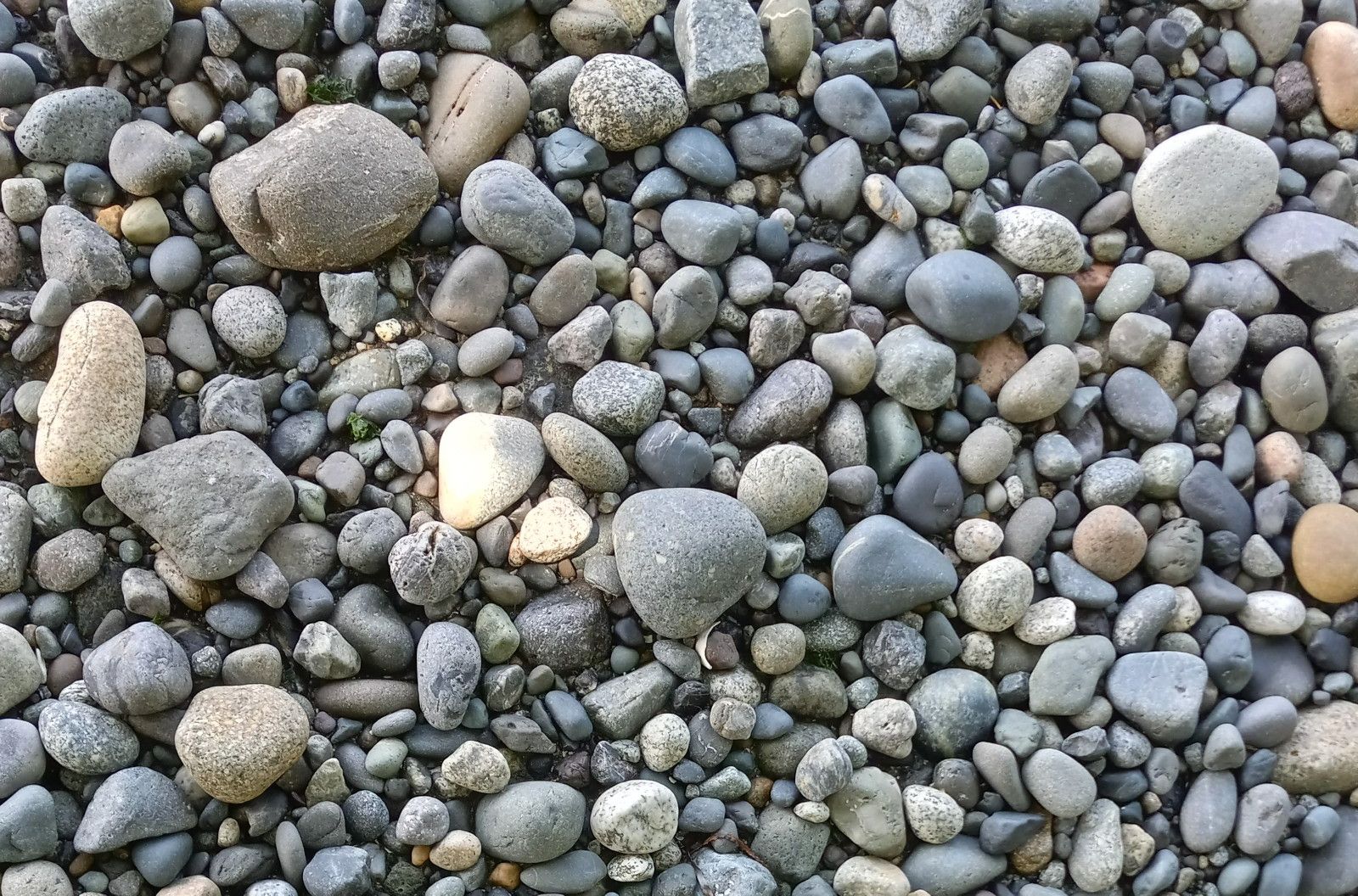 CC-L-0026-Pebbles.jpg