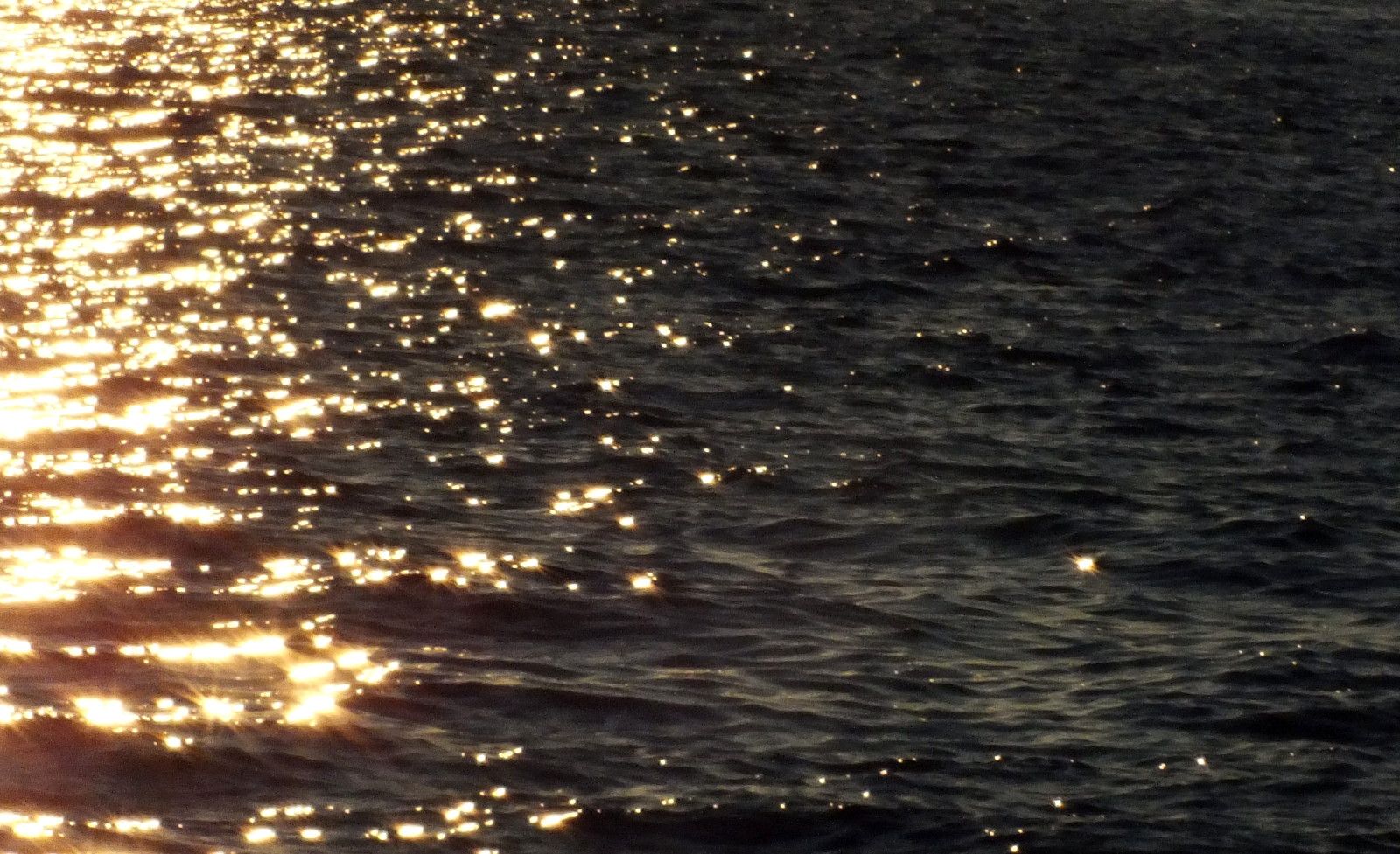 CC-L-0067-Reflection.JPG