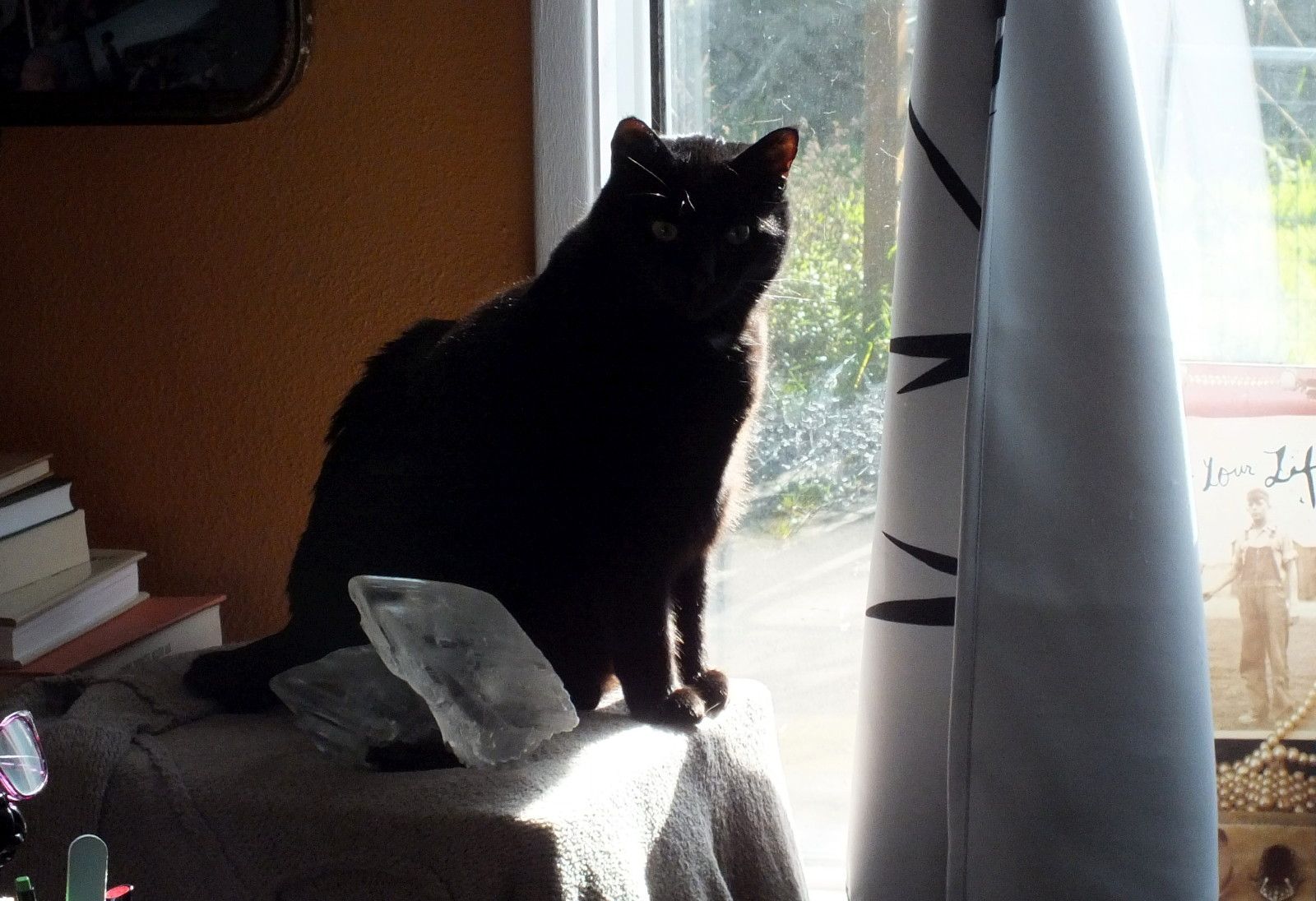 CC0071-Window.JPG