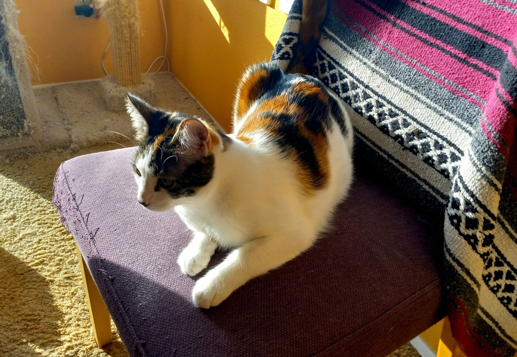 20250727_012200.jpg