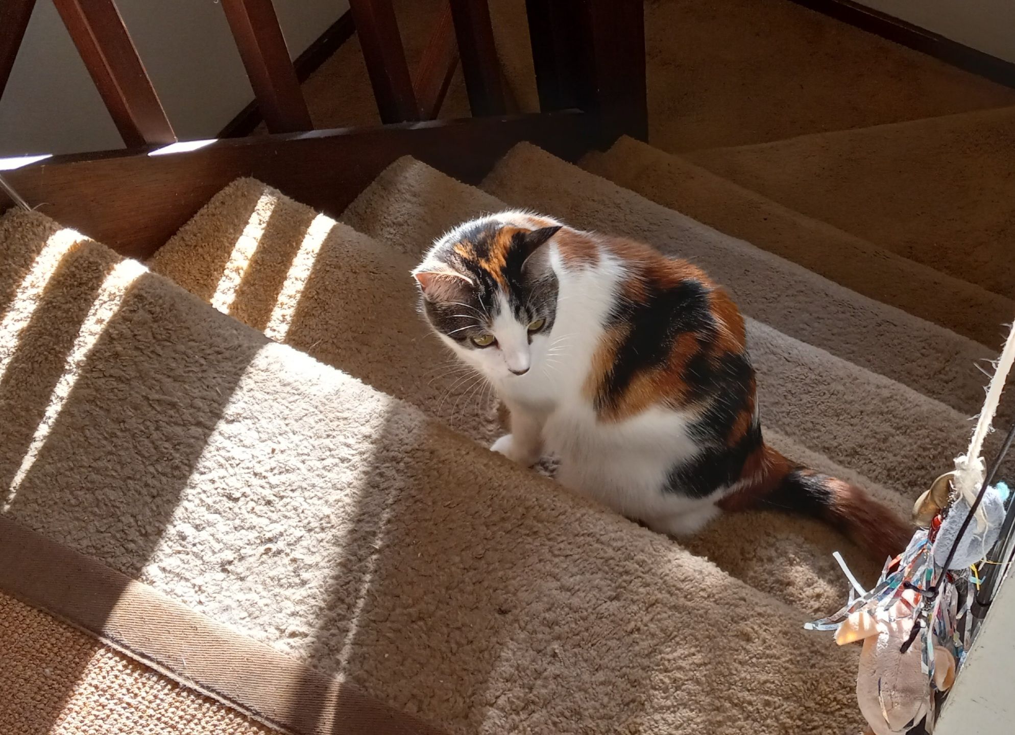20250824_174730.jpg
