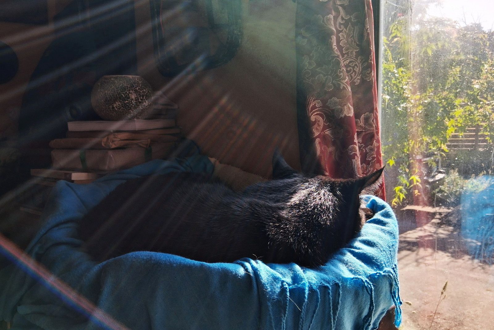 CC0745-SunCat.jpg