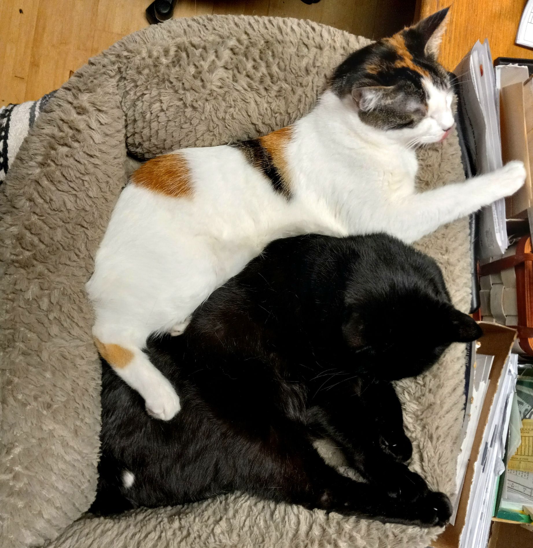 20250727_011639.jpg
