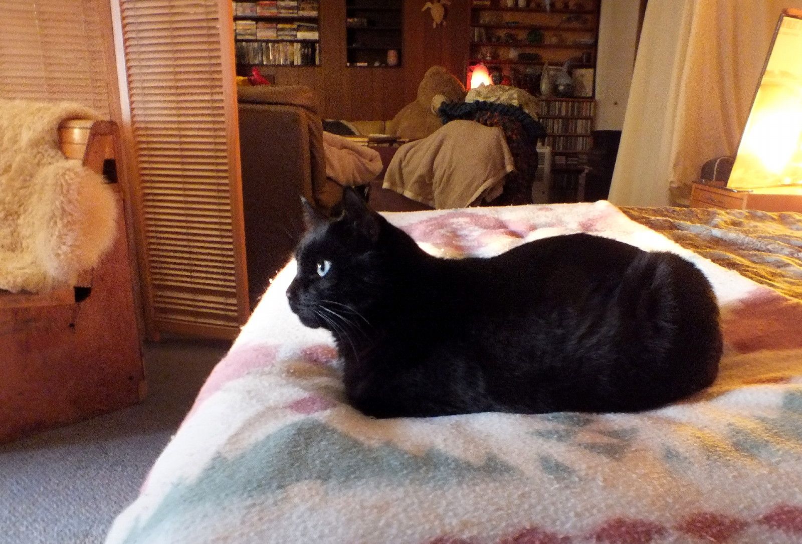 CC0154-GuestBed.JPG