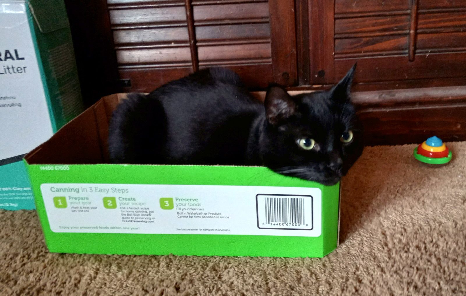 CC0103-JarBox.jpg