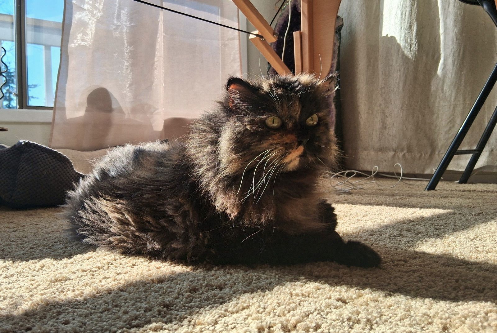 CC0745-Smudge.jpg
