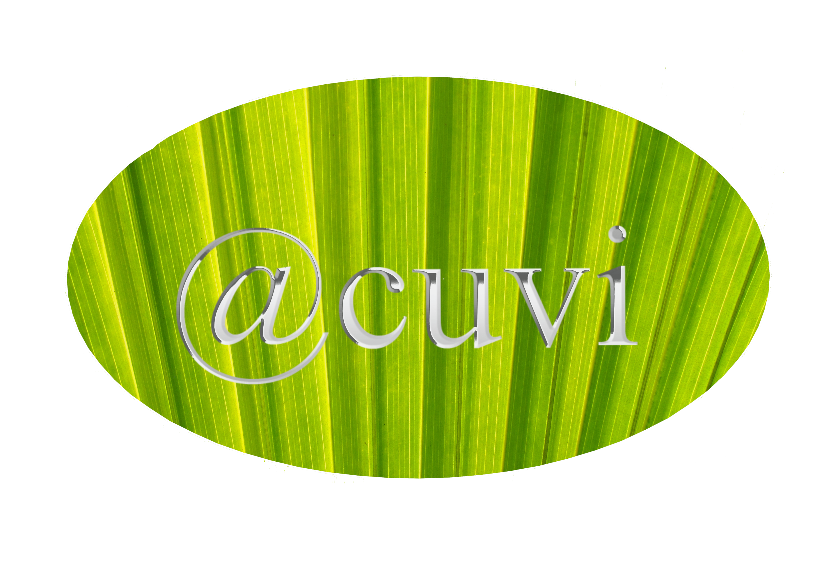 logo ok cuvi.png
