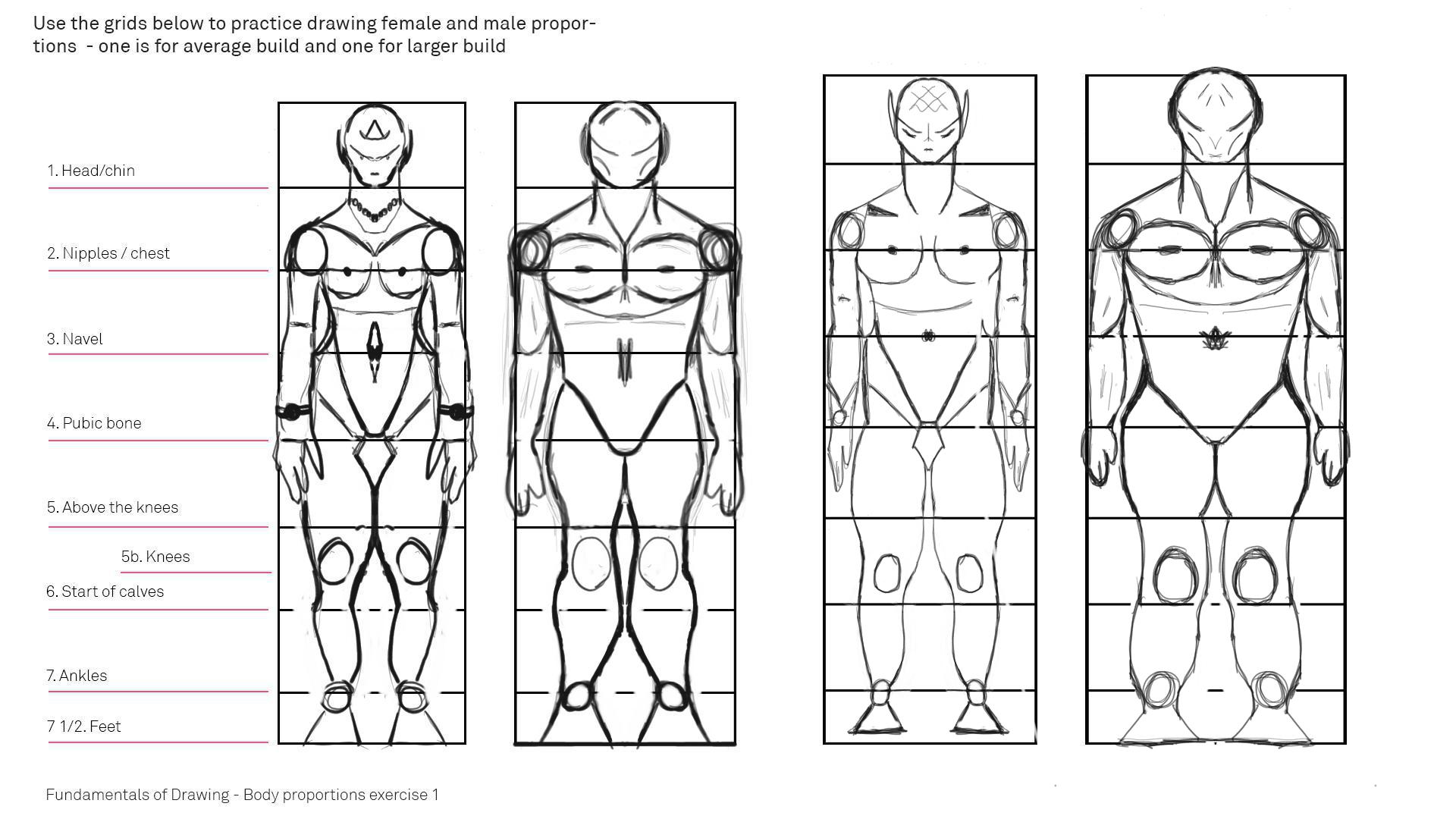 Pracc_Exercise-1_proportions.jpg
