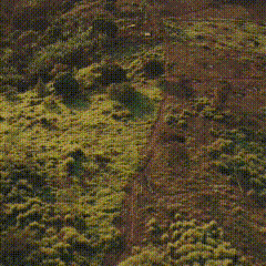 lv_0_20230525152745.gif