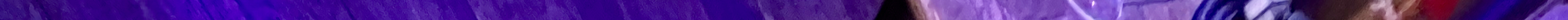 IMG_2510 2 (1).jpeg