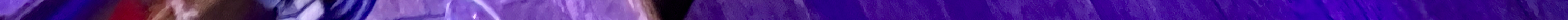 IMG_2510 2.jpeg