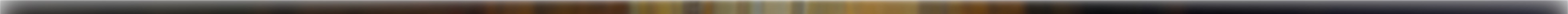 blur-sludge-baroque (1).jpeg