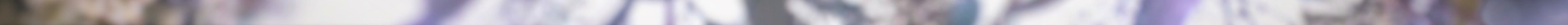 swf2 3.jpeg