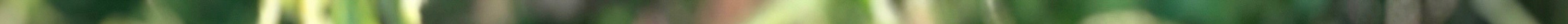topshatteredpost.jpeg
