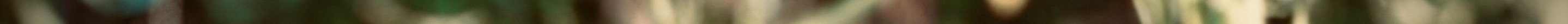 topshatteredpost 6.jpeg