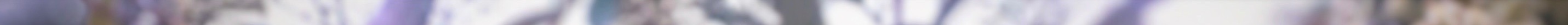 swf2 2.jpeg