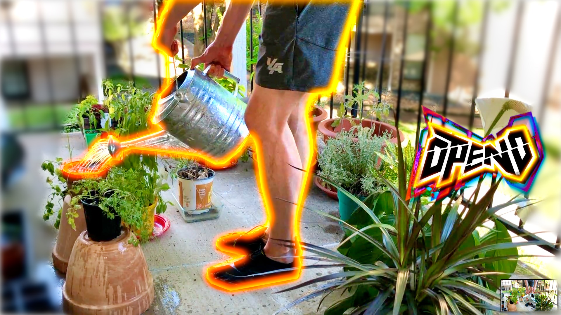 mypatiogardenredo01.jpeg