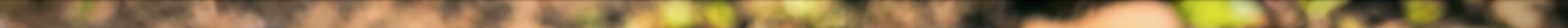 argument 5.jpeg
