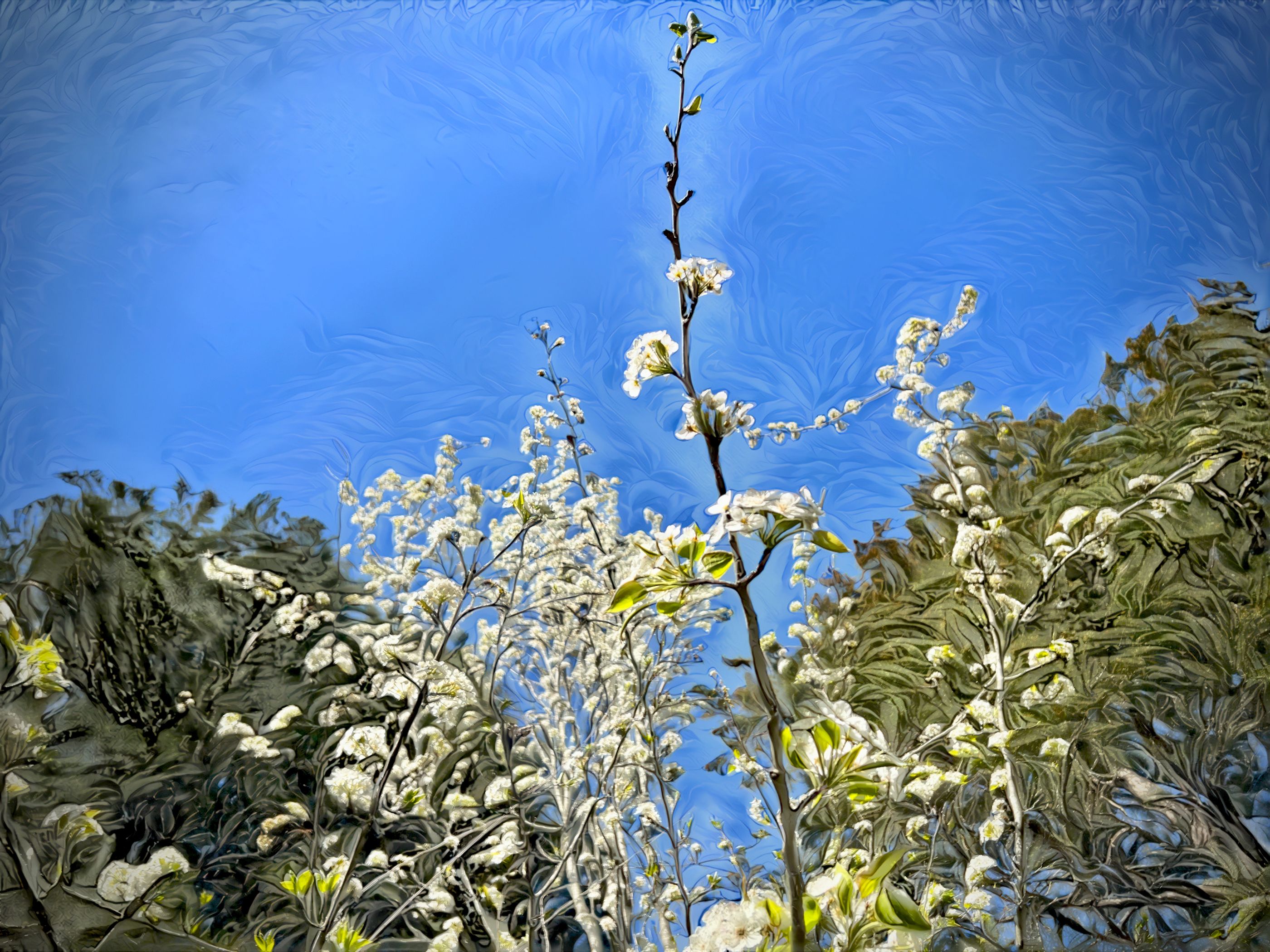 pastel-twig-60original-mix.jpeg