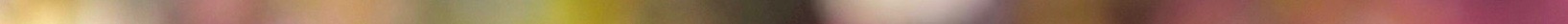swf1 3.jpeg