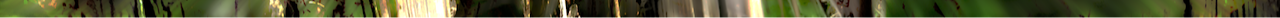 d 2.png