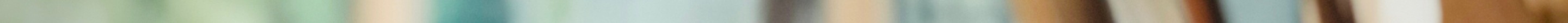 IMG_2028 2.jpeg