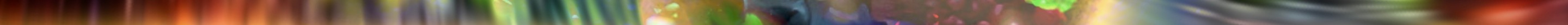 d.jpeg