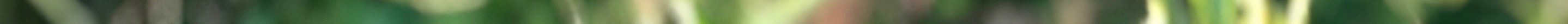 topshatteredpost 2.jpeg