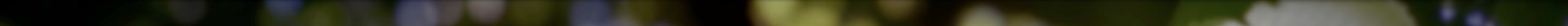 portraitleavesheavymod 2.jpeg