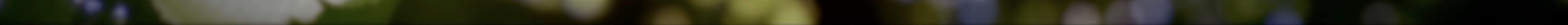 portraitleavesheavymod 3.jpeg