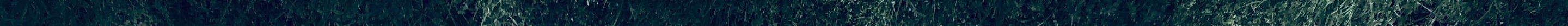 IMG_3501 3.jpeg